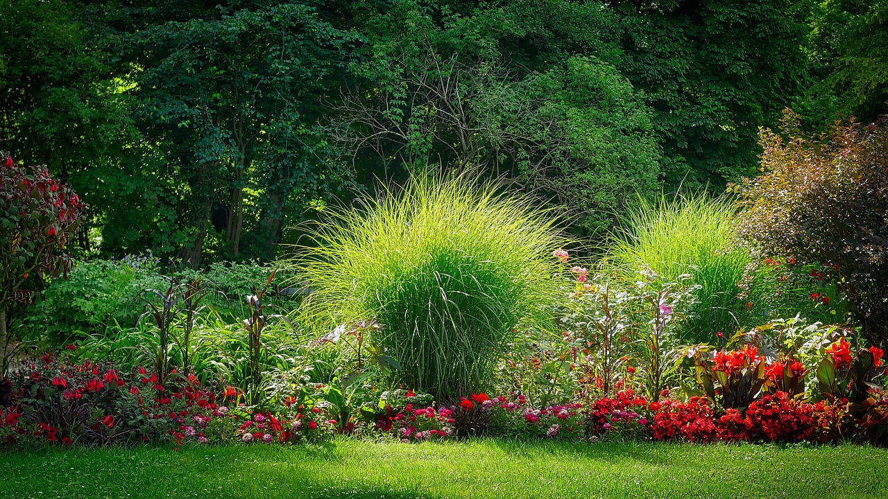 Dein Weg zu einem harmonischen Garten